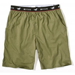 Pánske zelené kraťasy Brian