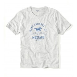 Šedé pánské tričko ARVID