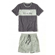 Pánské bavlněné pyžamo FERDY šedá/ zelená - tričko + šortky